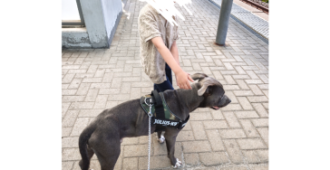 Samen sterk voor Blue 🐾❤️