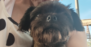 Help Lizzy zodat ze weer kan eten ❤️