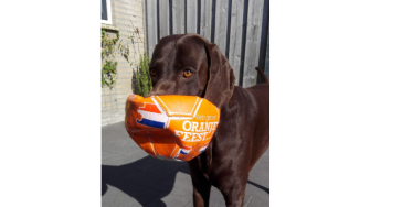 Operatie Hond