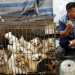 Kom op voor dieren Aub