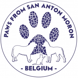 San Anton België