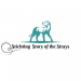 Stichting Story of The Strays