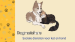 Dogmatchers